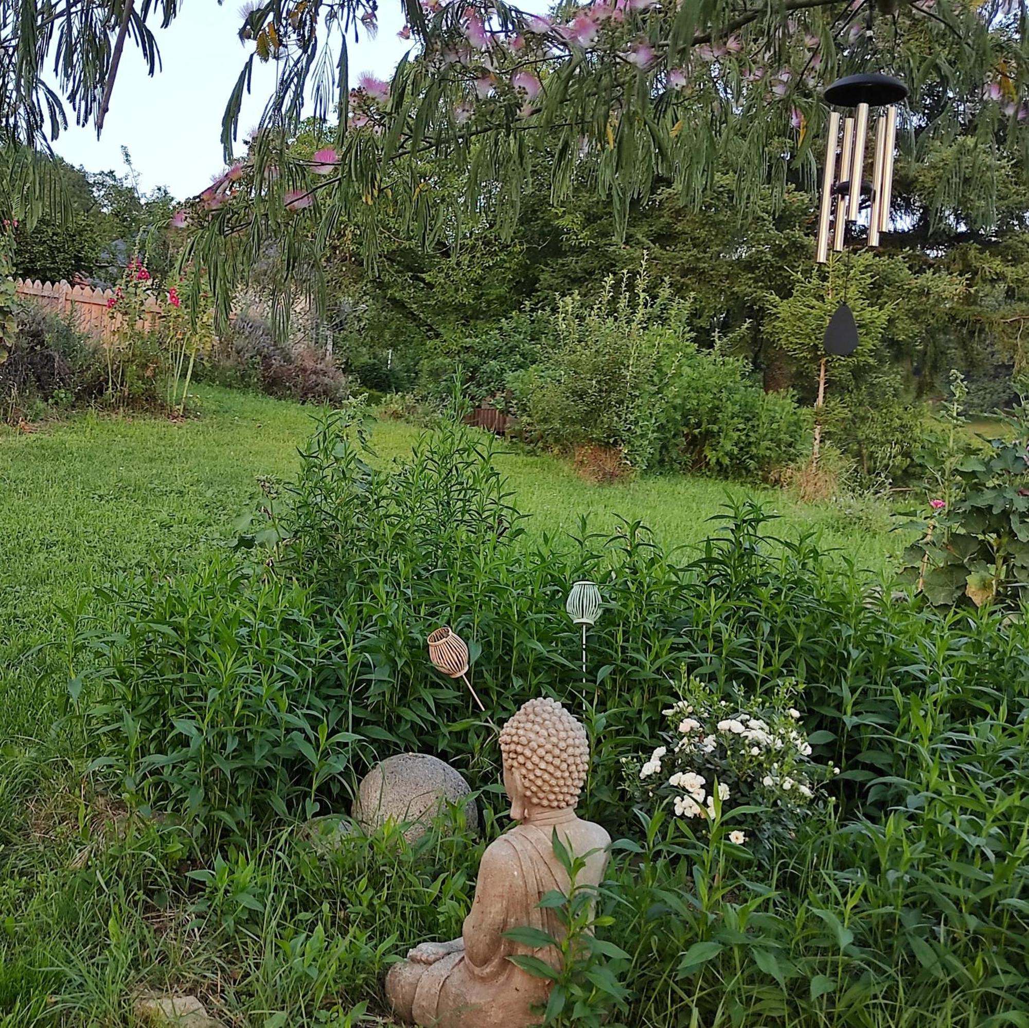 Bed and Breakfast Bout De Cote Lacam-dʼOurcet Esterno foto