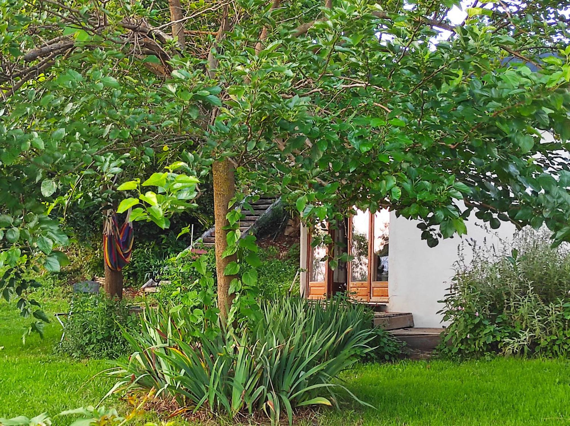 Bed and Breakfast Bout De Cote Lacam-dʼOurcet Esterno foto