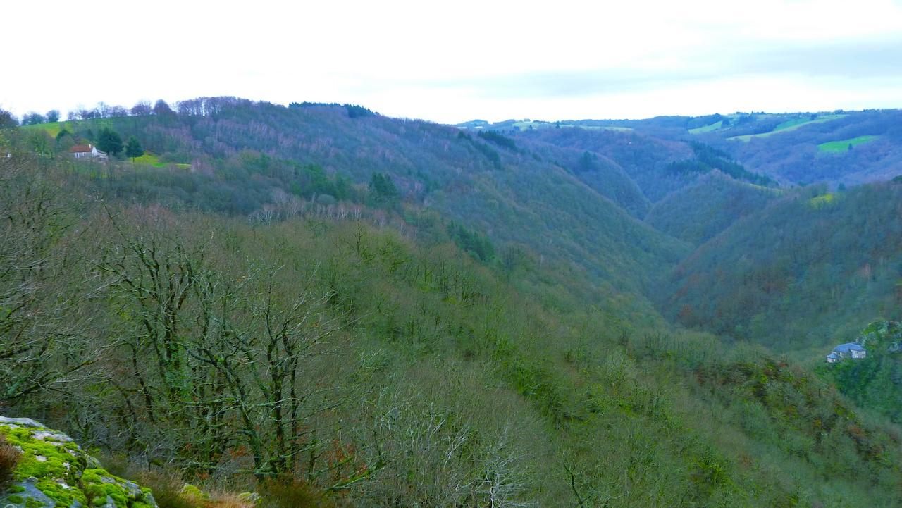 Bed and Breakfast Bout De Cote Lacam-dʼOurcet Esterno foto